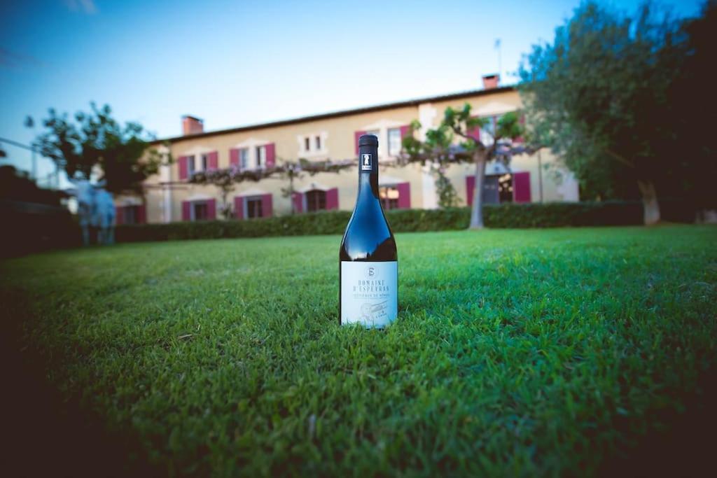 Villa Mas De Charme En Pleine Camargue Saint-Gilles  Exterior foto